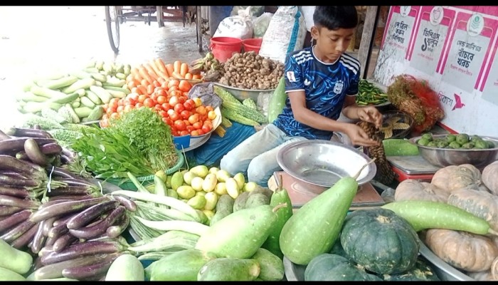 টানা বৃষ্টিতে ব্রাহ্মণপাড়ার সবজি বাজারে আগুন, কাঁচা মরিচ ও টমেটোর দামে মাথায় হাত ক্রেতাদের