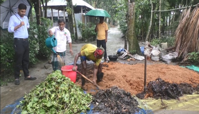 কুড়িগ্রামে জৈবসারের ব্যবহারে লাভবান হচ্ছেন কৃষক