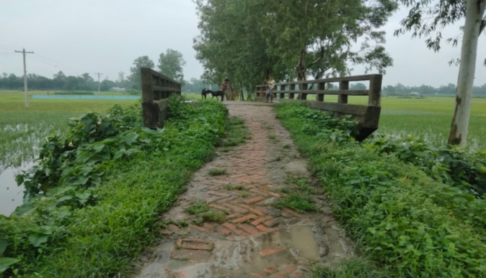 রায়গঞ্জের নিজামগাতী থেকে গ্রামপাঙ্গাসী বাজার সড়কের বেহাল দশা