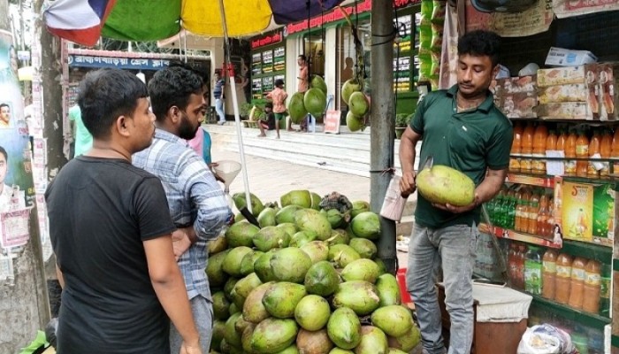 ব্রাহ্মণবাড়িয়ায় জমজমাট ডাবের বাজার, মাসে লেনদেন দেড় কোটি