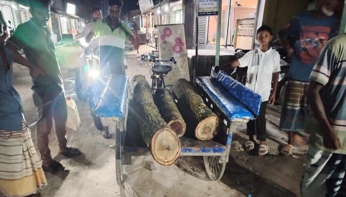 পীরগঞ্জে চোরাই কাঠ উদ্ধারে বন কর্মকর্তাদের ভূমিকা নিয়ে প্রশ্ন
