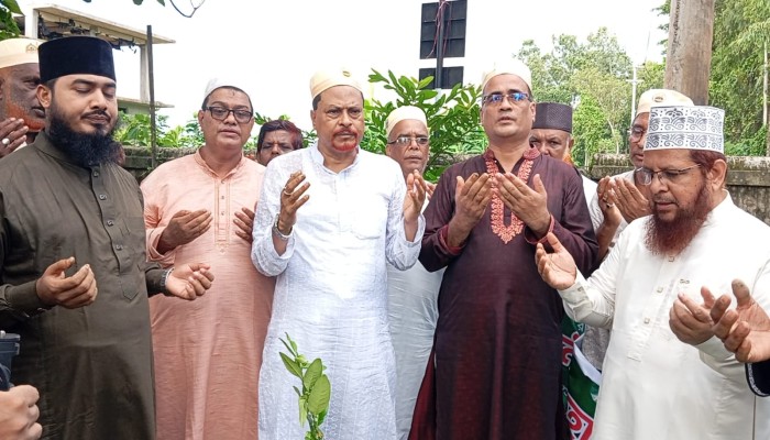 বোয়ালখালী শ্রীপুর বুড়া মসজিদ ওয়াক্ফ এস্টেটের উদ্যোগে বৃক্ষরোপণ উদ্বোধন