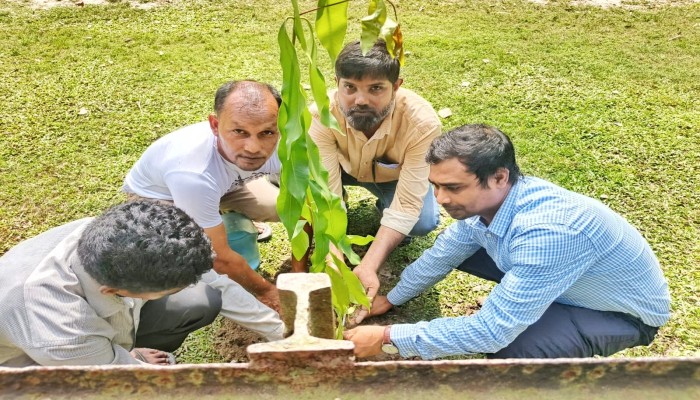 খালেদা জিয়ার জন্মদিনে লালমনিরহাটে দোয়া, বৃক্ষরোপণ ও বিনামূল্যে চিকিৎসাসেবা