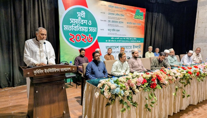 বিদ্যুৎ,গ্যাস সংকটসহ নগর সমস্যার সমাধানে দীর্ঘমেয়াদি পরিকল্পনা বাঞ্ছনীয়