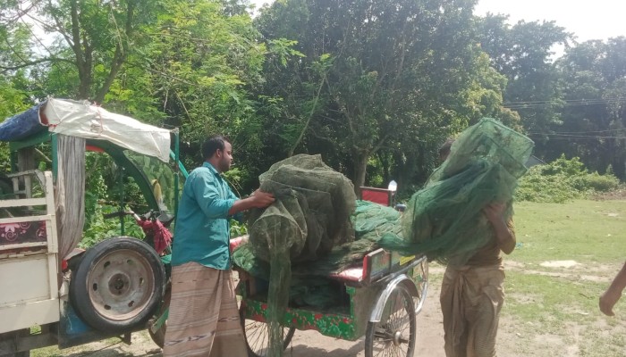চায়না দু'য়ারী’ রিং জালের ছড়াছড়ি, অ'স্তিত্ব সংকটে দেশীয় মাছ,অ'বশেষে অ'ভিযান পরিচালনা করে জাল পু'ড়িয়ে ধ্বংস
