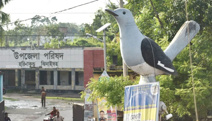ঝিনাইদহে পানিতে ডু'বে মাদ্রাসাছাত্রের মৃ'ত্যু