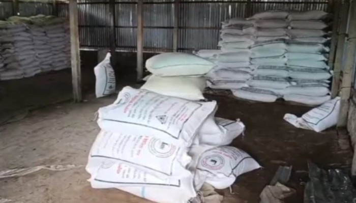 কুড়িগ্রামের ভূরুঙ্গামারীতে মিলছে না সার, বিপাকে প্রান্তিক কৃষক