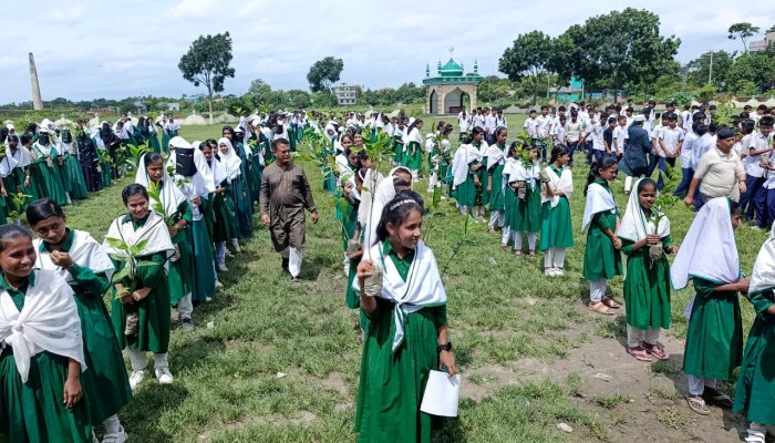 চারা বিতরণে সবুজের স্বপ্ন, শিক্ষার্থীদের পাশে তরী