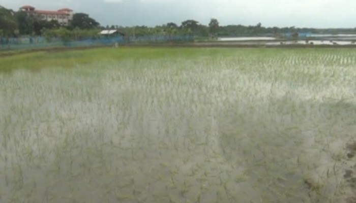 কয়রায় আদালতের নি'ষেধাজ্ঞা অ'মান্য করে জমি দখলের অ'ভিযোগ, বি'বাদীর দা'বি ‘আমি দখলে আছি’