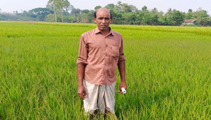 গভীর নলকূপ অপারেটরের বিরুদ্ধে সেচ না দিয়ে ফসল মেরে ফেলার অভিযোগ