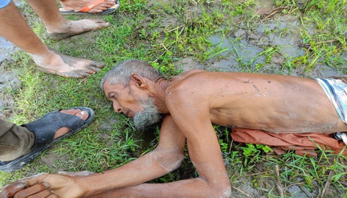 বিজয়নগরে অজ্ঞাত বৃদ্ধের লাশ উদ্ধার