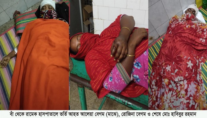 রাজশাহীতে সাবেক আ’লীগ সভাপতির নেতৃত্বে বাড়িতে ঢুকে হামলা! ৫জন নারী- সহ আহত-৭
