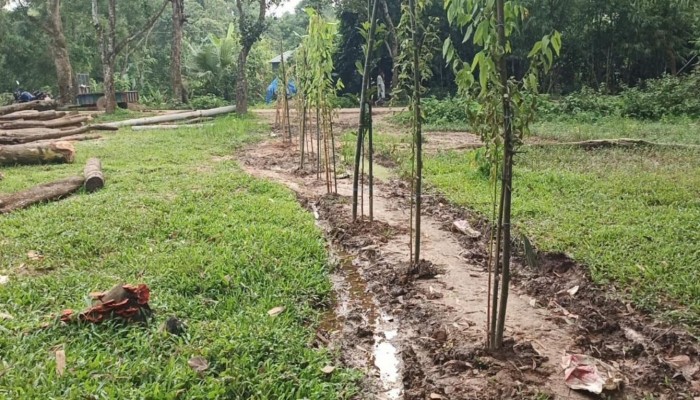 ভালুকায় শতাধিক মানুষে চলাচলের একমাত্র রাস্তা বন্ধ করে দেওয়ার অভিযোগ।