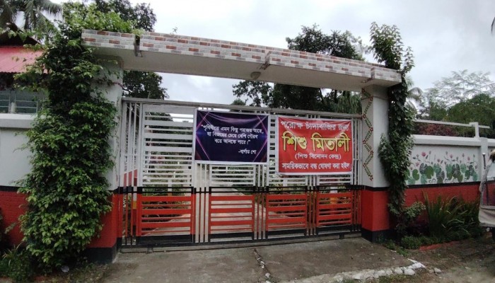 চাঁদাবাজি না অনৈতিক কাজ কালীগঞ্জের শিশু মিতালী নিয়ে বিতর্কের দুই মেরু