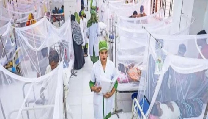 বরিশালে ৫ মাসে ডেঙ্গু রোগী প্রায় সাড়ে ১০ হাজার, মৃত্যু ১৯ রোগীর