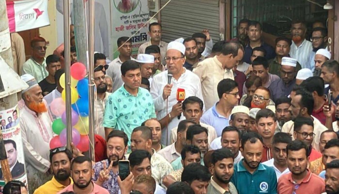 ব্রাহ্মণপাড়া বিএনপির প্রতিষ্ঠাবার্ষিকী পালিত