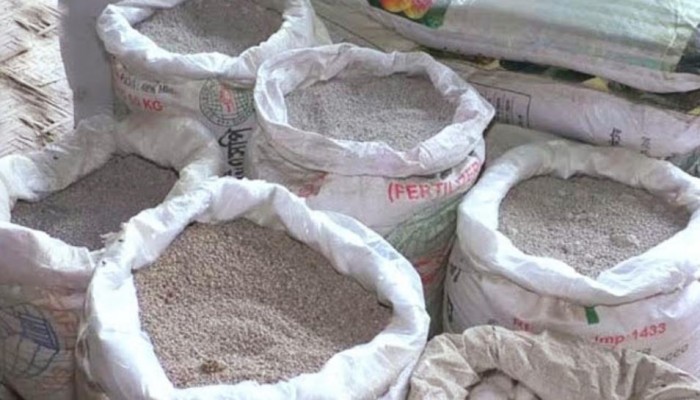 মাধবপুরে চড়া দামে সার কিনে হতাশ কৃষক দেখার কেউ নেই লিটন পাঠান