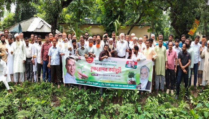 বিএনপির প্রতিষ্ঠাবার্ষিকী উপলক্ষে গৌরীপুরে ২ হাজার তাল গাছের চারা রোপণ