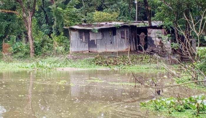 নোয়াখালীতে ঝুপড়ি ঘরে ভূমিহীন পরিবারের মানবেতর জীবনযাপন