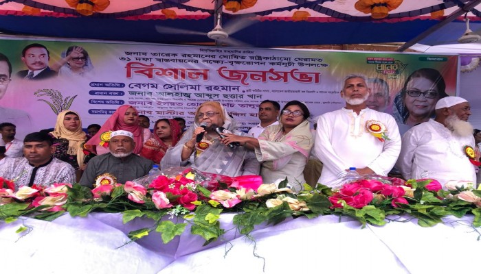 তারেক রহমান ঘোষিত ৩১দফা বাস্তবায়নের লক্ষে মুলাদীর নাজিরপুরে বিএনপির জনসভা