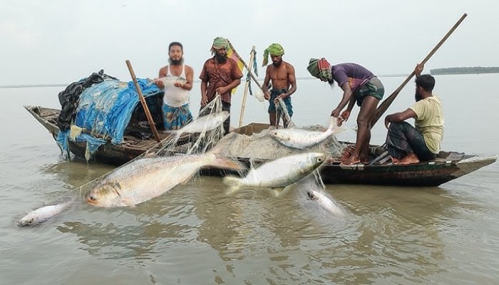 আজ থেকে ২২ দিন মেঘনায় মাছ ধরা নিষিদ্ধ