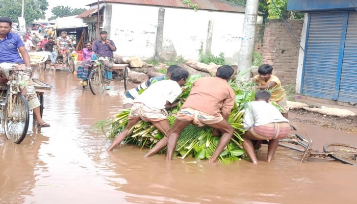 পাবনার ফরিদপুর ডেমড়া টু আতাইকুলার আঞ্চলিক সড়ক তো নয় যেনো মরন ফাঁদ