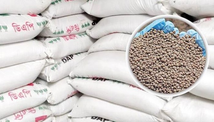 হবিগঞ্জে অতিরিক্ত মূল্যে সার বিক্রি হিমশিমে আমন চাষিরা