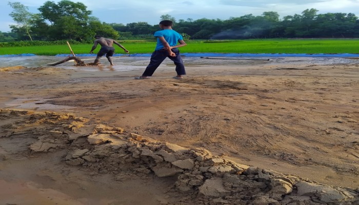 হবিগঞ্জের বাহুবলে মরা খোয়াই নদীতে ড্রেজার বসিয়ে বালু তুলছেন ক্ষমতা পতন আওয়ামীলীগ নেতারা