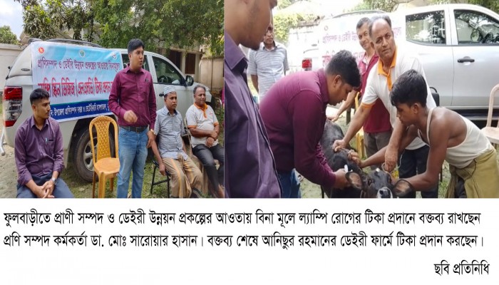 ফুলবাড়ীতে প্রাণী সম্পদ ও ডেইরী উন্নয়ন প্রকল্পের আওতায় বিনা মূলে ল্যাম্পি রোগের টিকা প্রদান