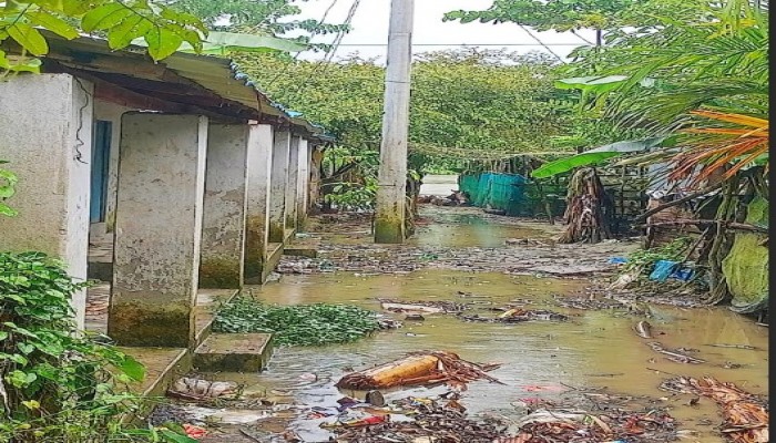কোটি কোটি টাকা অপচয়/কাউখালীতে আশ্রয়ন প্রকল্পের অধিকাংশ ঘরই এখন ফাঁকা