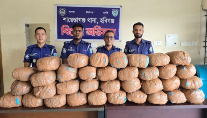 শায়েস্তাগঞ্জে পুলিশের হাতে ৭০ কেজি গাঁজা উদ্ধার