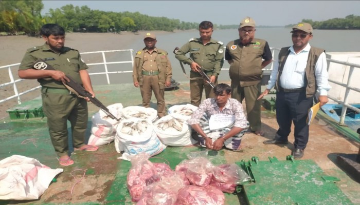 সুন্দরবনের চোরা শিকারী আটক, উদ্ধার হলো ৪৮ কেজি হরিণের মাংস