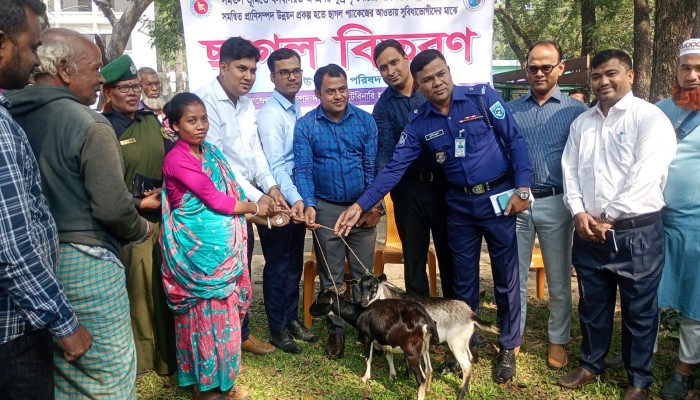 ফুলবাড়ীতে অনগ্রসর ক্ষুদ্র নৃ-গোষ্ঠীর ১৯৬ পরিবারে ৩৯২টি ছাগল বিতরণ