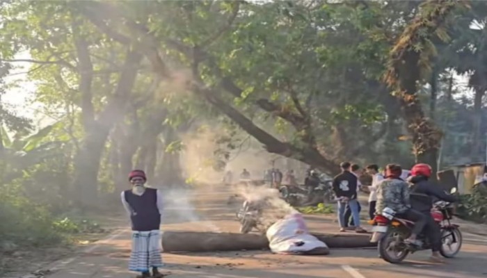 মাদারীপুরে ঢাকা- বরিশাল মহাসড়কে গাছ ফেলে অবরোধ