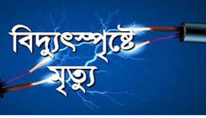 নেত্রকোনায় বিদ্যুৎপৃষ্ট  হয়ে যুবকের মৃত্যু