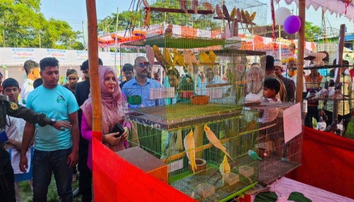 ব্রাহ্মণপাড়ায় জাতীয় প্রাণিসম্পদ সপ্তাহ ও প্রদর্শনী উদ্বোধন