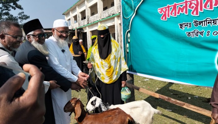মেহেন্দিগঞ্জে ১৫টি অসহায় পরিবারে নতুন ঘর ও ছাগল উপহার দিলেন দাঁড়িপাল্লার প্রার্থী মাওলানা আবদুল জব্বার