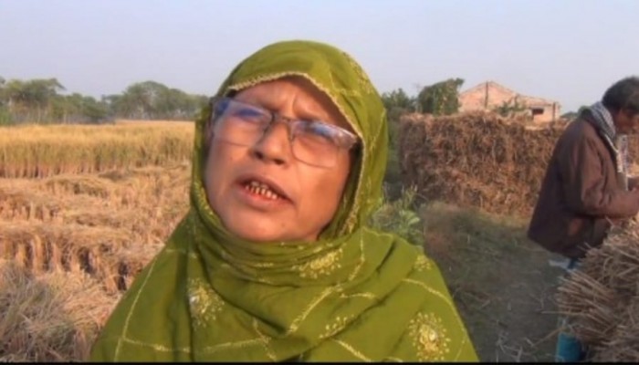 কয়রায় মামলাধীন জমিতে জোর করে ধান কাটার অভিযোগ