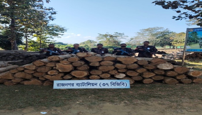 লংগদুতে বিজিবির অভিযানে অবৈধ কাঠ জব্দ