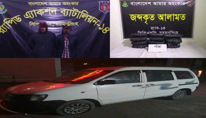 অবৈধ মাদকদ্রব্য গাজাসহ ২ মাদককারবারিকে র‍্যাব-১৪ হাতে গ্রেফতার