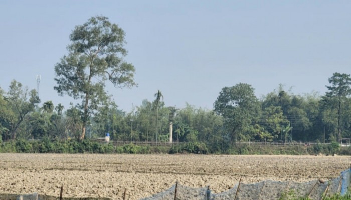 কুড়িগ্রামের রৌমারী সীমান্তে বিএসএফের ‘গুলি’, বাংলাদেশি যুবক আটকের অভি‌যোগ