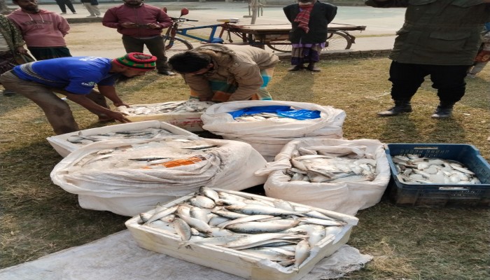 কালকিনিতে বিভিন্ন বাজারে প্রশাসনের অভিযানে বিক্রেতাদের অর্থদন্ড