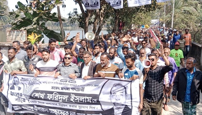 মোংলায় ধানের শীষের প্রার্থীর নির্বাচনী মিছিল অনুষ্ঠিত।