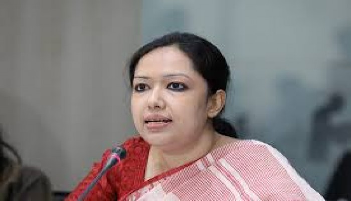 রুমিন ফারহানা সংবিধান সংস্কার পরিষদে শপথ নেননি