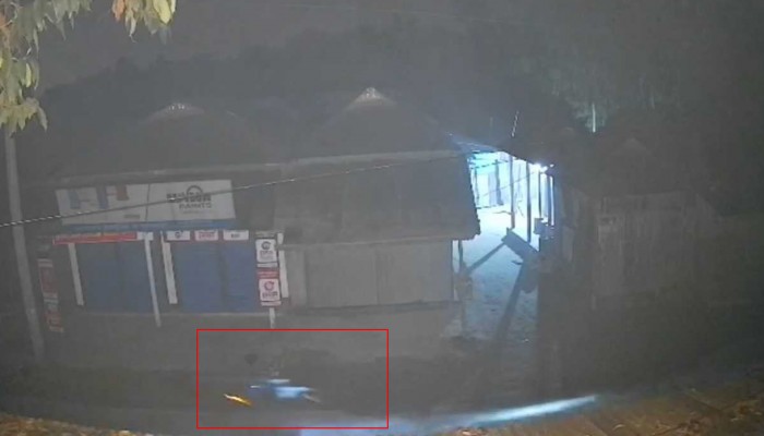 সীমান্তে সিসিটিভিতে ধরা পড়ল কুকুর সদৃশ রোবট