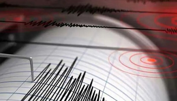 ভূমিকম্পে কাঁপল দেশ