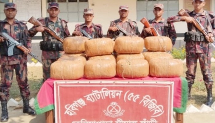 মাধবপুর বিজিবির বিশেষ অভিযানে ৭৩ কেজি গাঁজা জব্দ