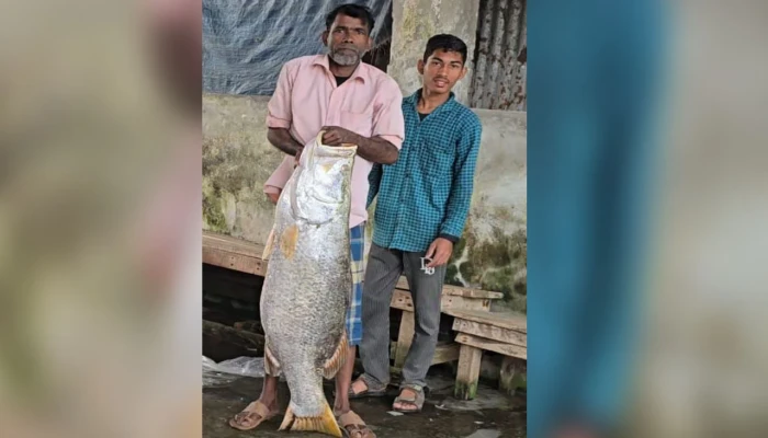জেলের জালে সাড়ে ২২ কেজির কোরাল