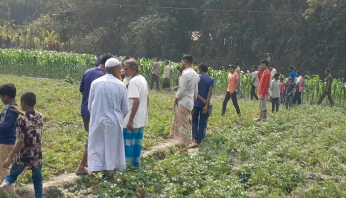 ভুট্টা ক্ষেত থেকে অজ্ঞাত ব্যক্তির লাশ উদ্ধার