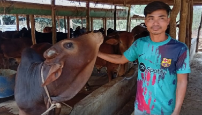 বেকারত্ব জয় করে অর্ধকোটি টাকার খামারের মালিক আছোমং মারমা